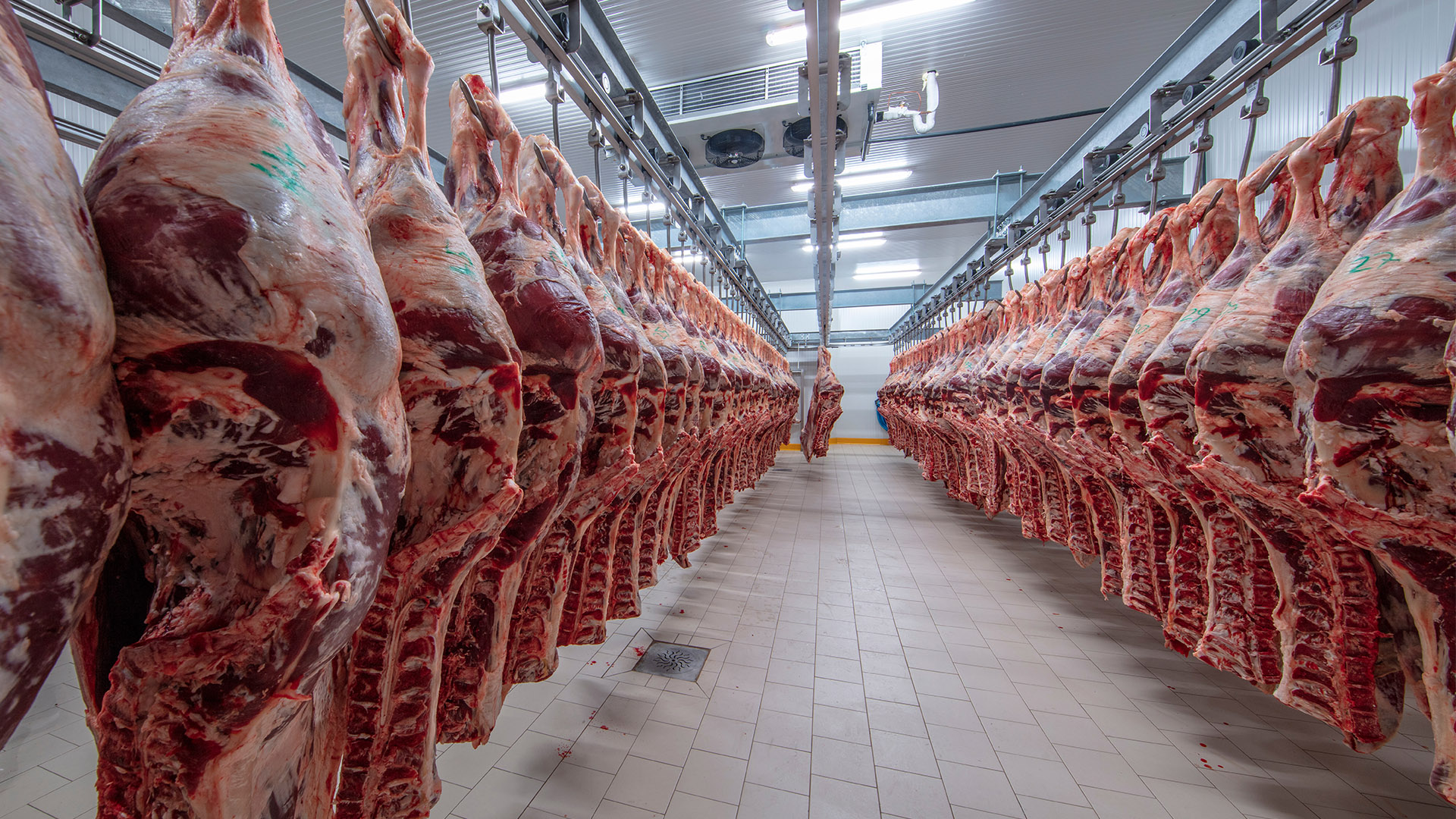 meat processing feature image