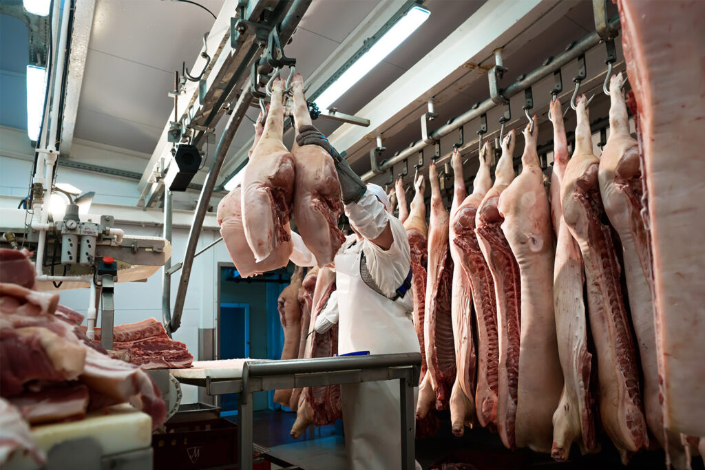meat processing slaughterhouse