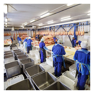 poultry processing